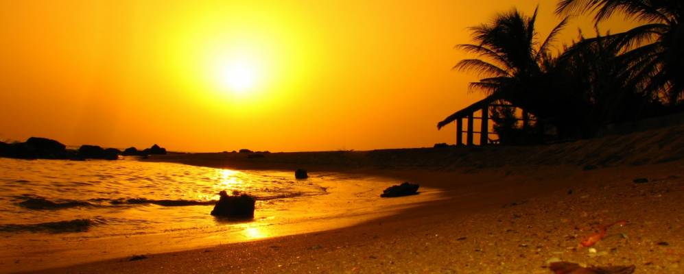 Фотография Сомон