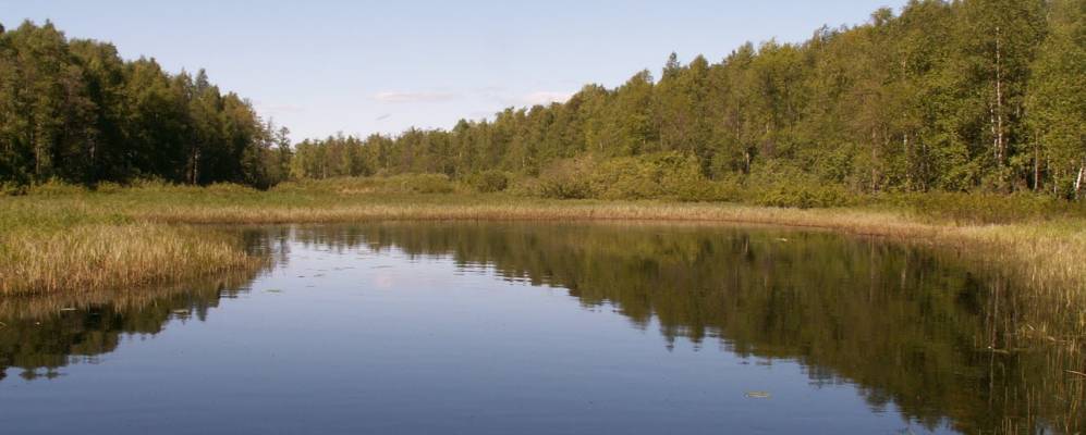 
            Фотография Дешино