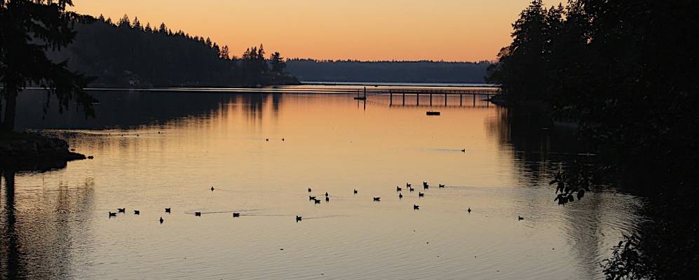 
            Фотография Vaughn