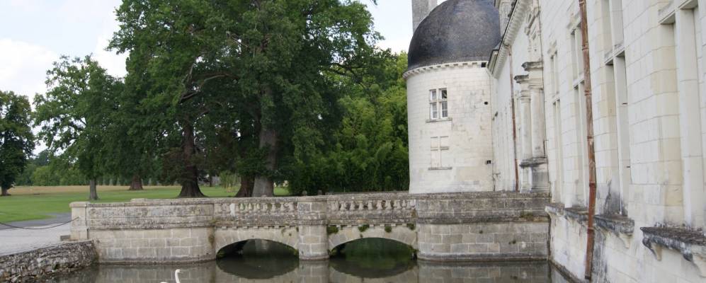 
            Фотография Шампиньи-Сюр-Вёд