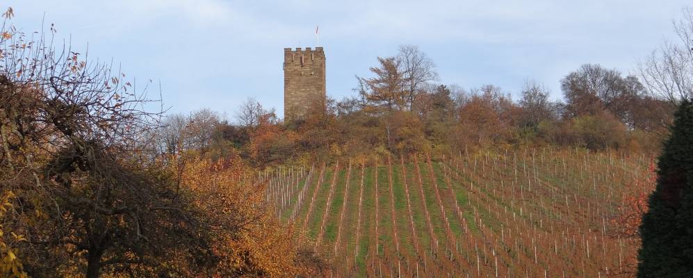 
            Фотография Штерненфельса