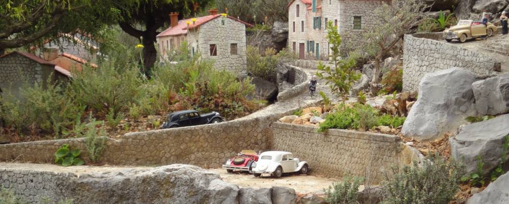 
            Фотография Суайона