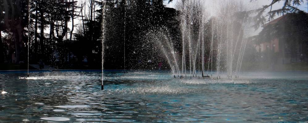 
            Фотография Ровеласкы