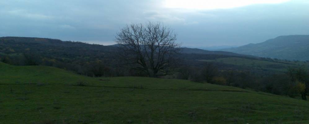 
            Фотография Мескетов