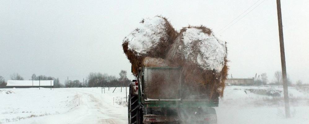 Фотография Струкачева