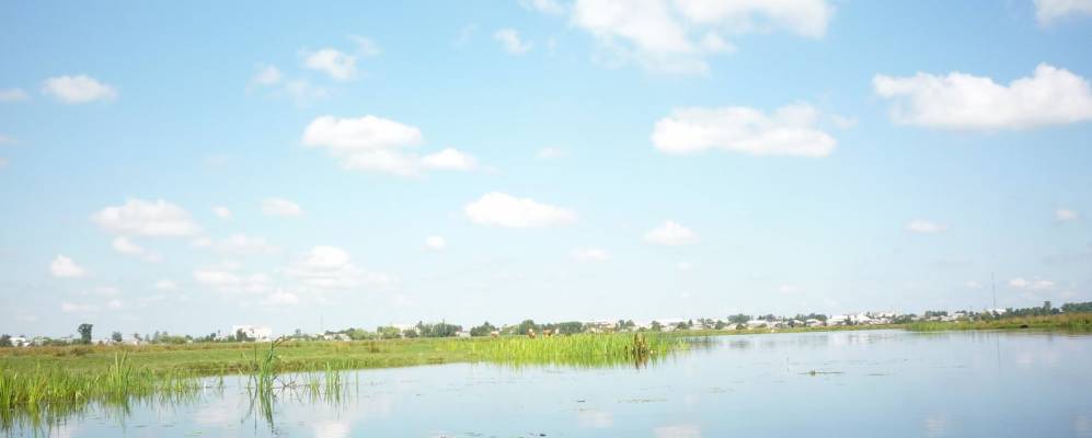 
            Фотография Зареки