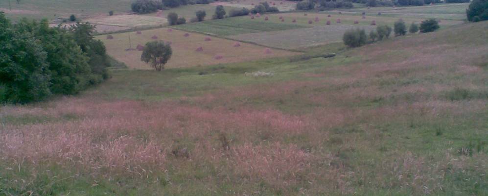 
            Фотография Нижние Становцы