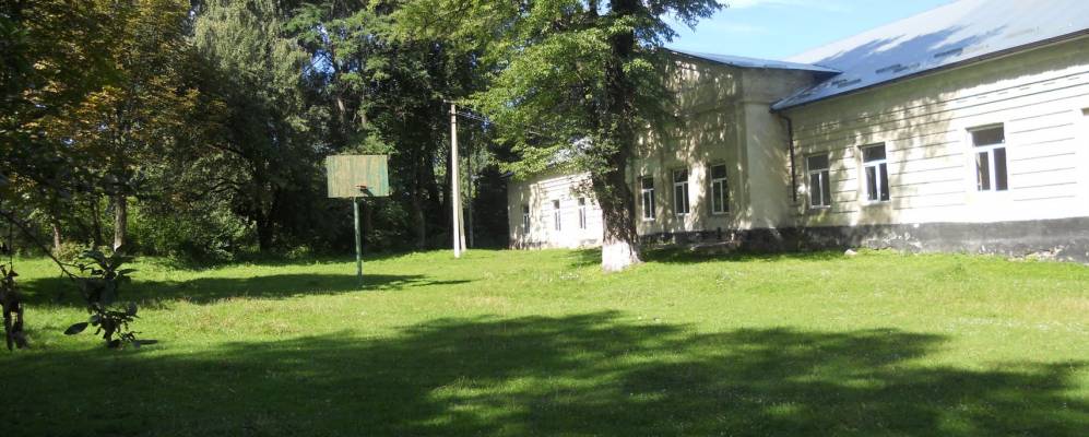 
            Фотография Чапли