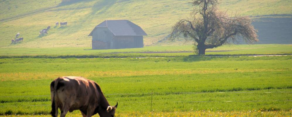 
            Фотография Ваттенвильа