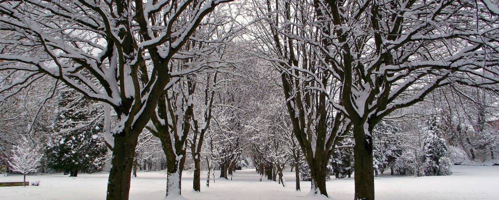 
            Фотография Амманфорда