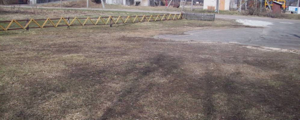 Фотография Растополья