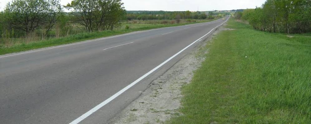 
            Фотография Дибровой