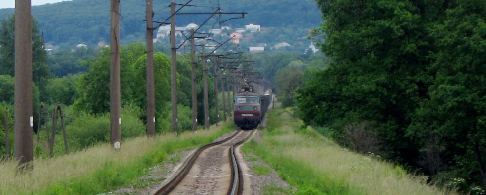 
            Фотография Сороки-Львовские
