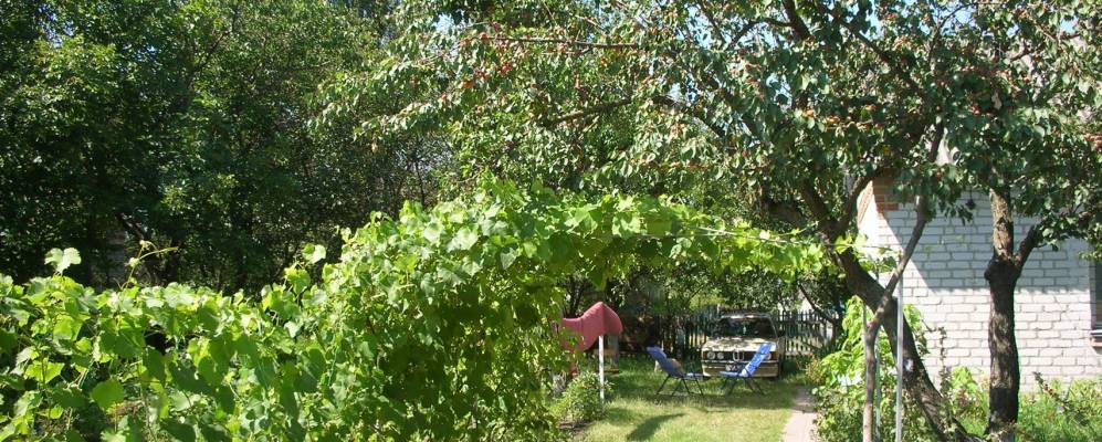 
            Фотография Поддубовки