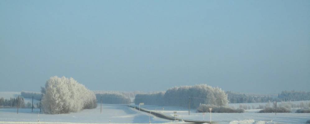 
            Фотография Петровки