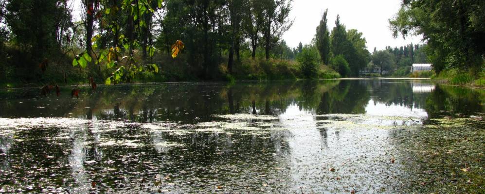 
            Фотография Терентиевки