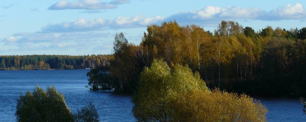 
            Фотография Котово