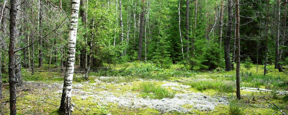 
            Фотография Монголии