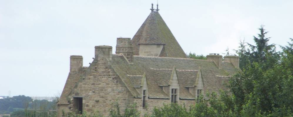 
            Фотография Плуневанте