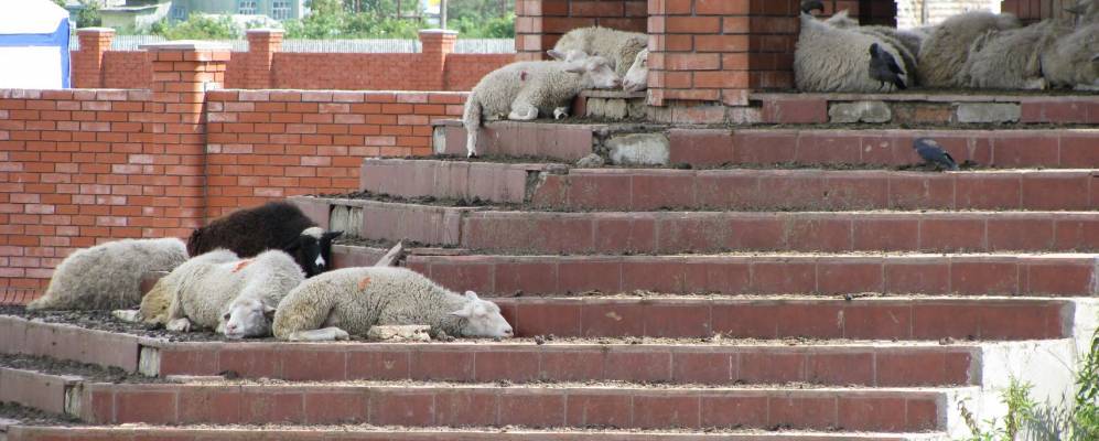 
            Фотография Кумьязов