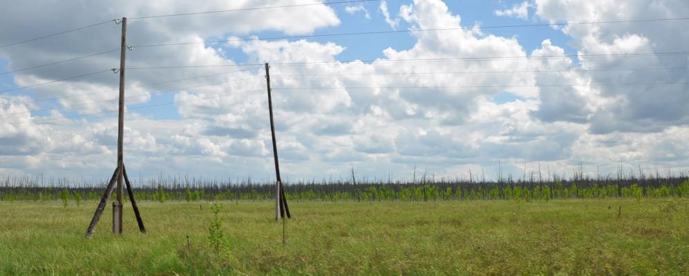 Фотография Куяновской Гари