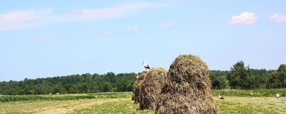 
            Фотография Нижней Стынавы