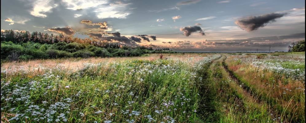 Фотография Киглохты