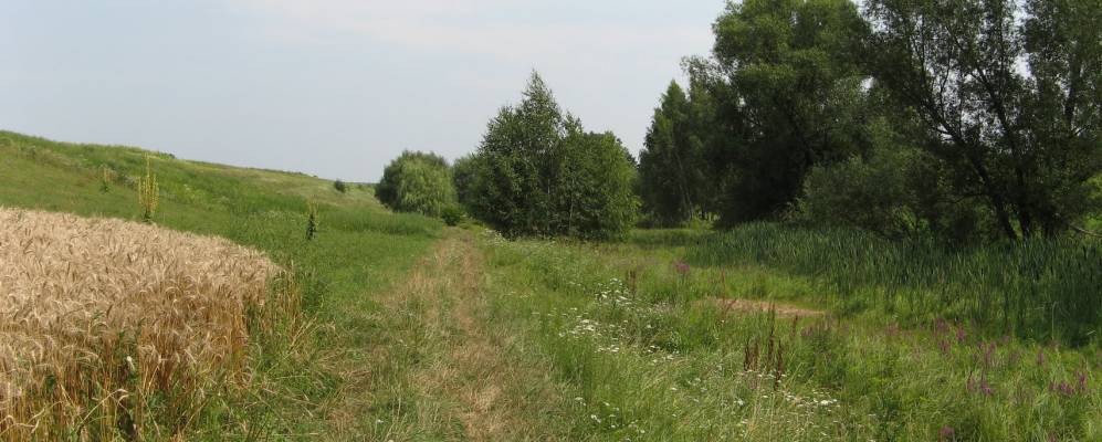 Фотография Яхен