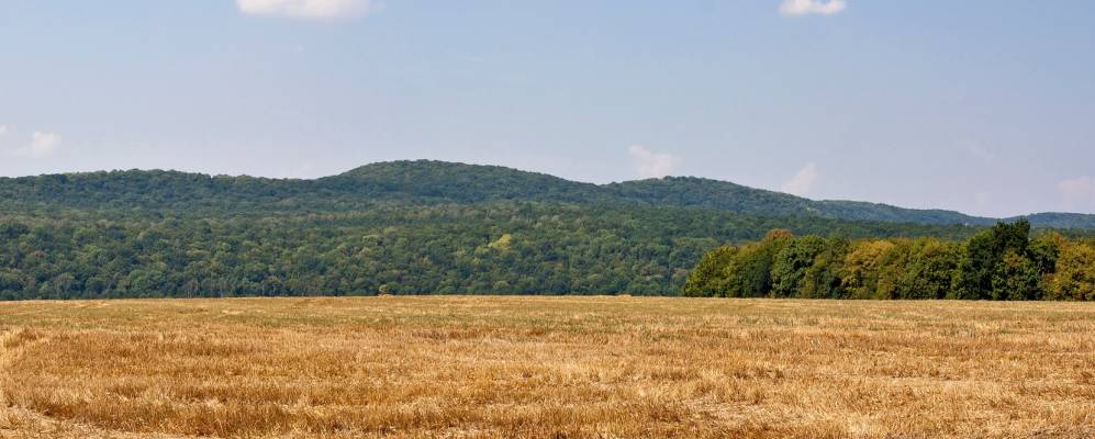 
            Фотография Голенищево