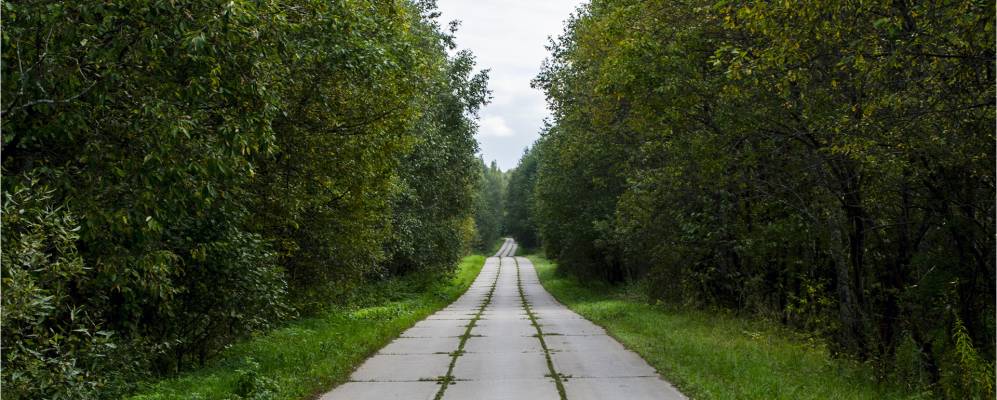 
            Фотография Бурцево