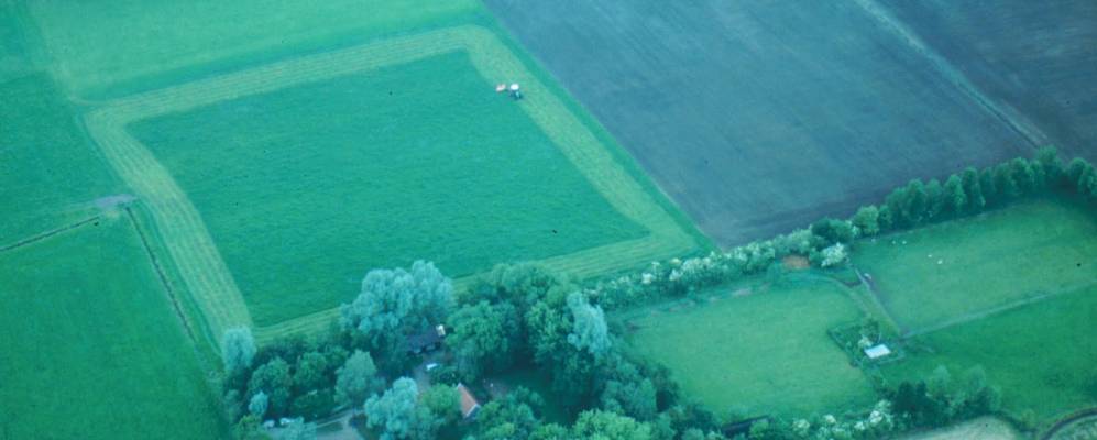 
            Фотография Брюммена