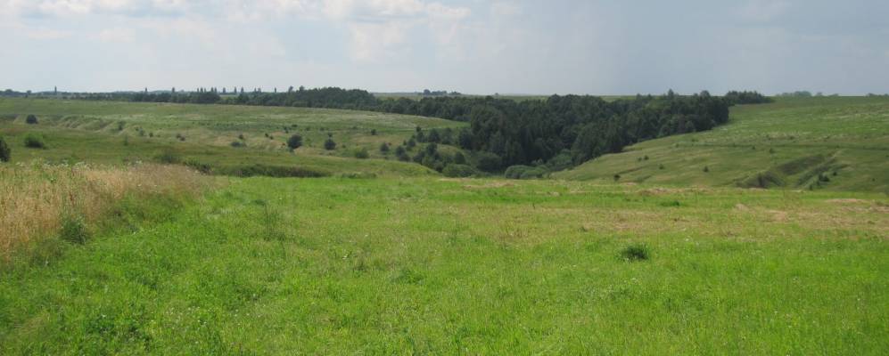 
            Фотография Озерко