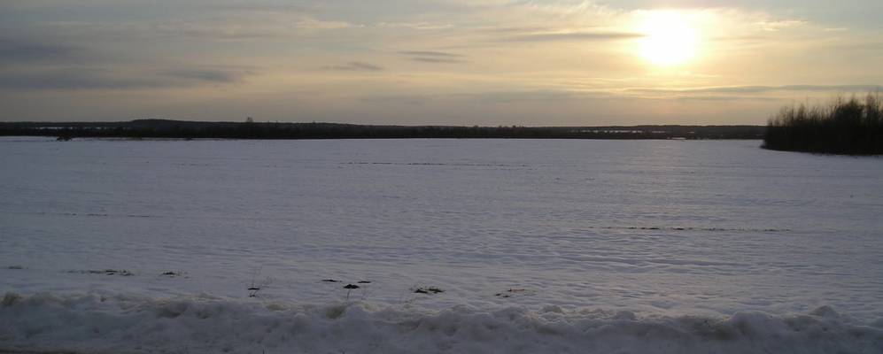 
            Фотография Ковпиты