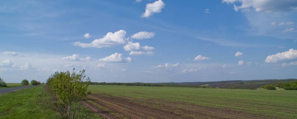 
            Фотография Отрешково