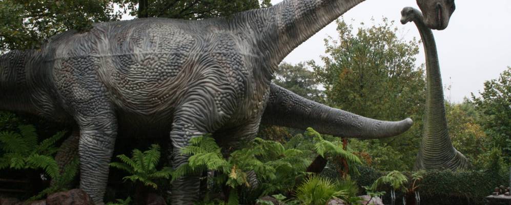 
            Фотография Аберкрафа