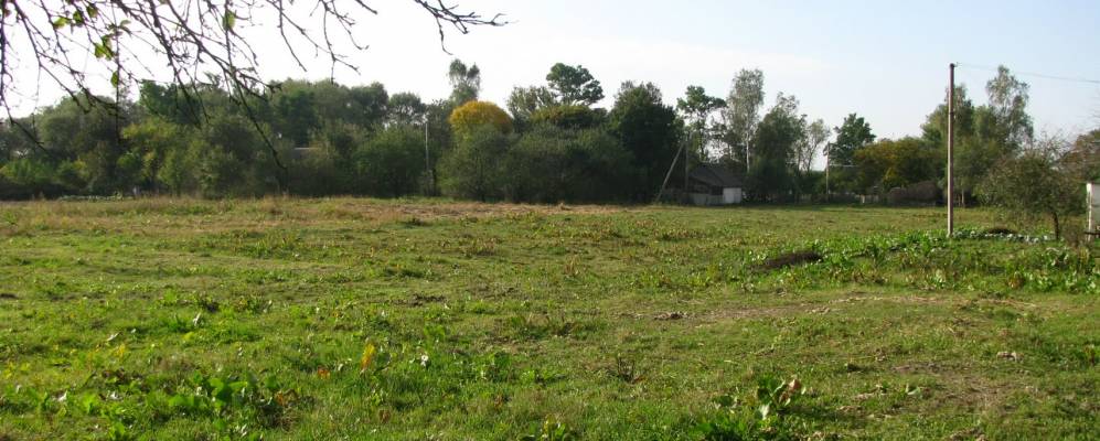 
            Фотография Крапивни