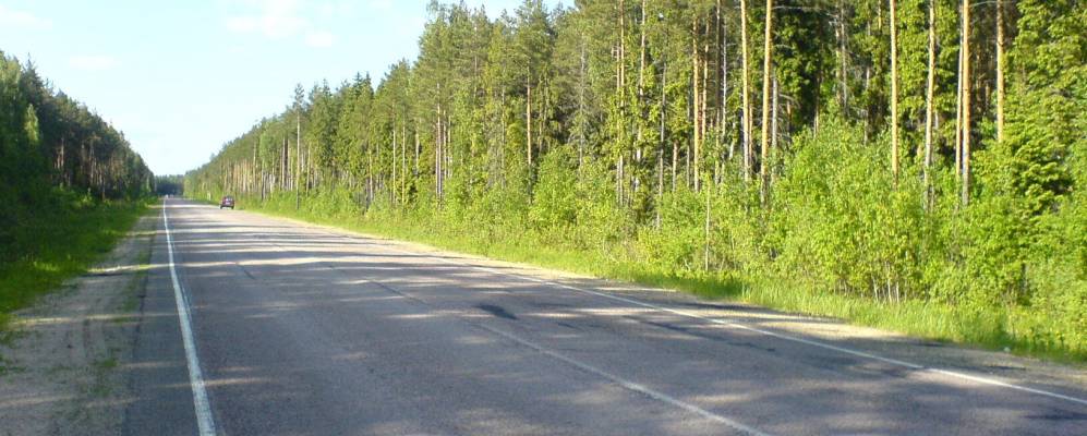 
            Фотография Лапино