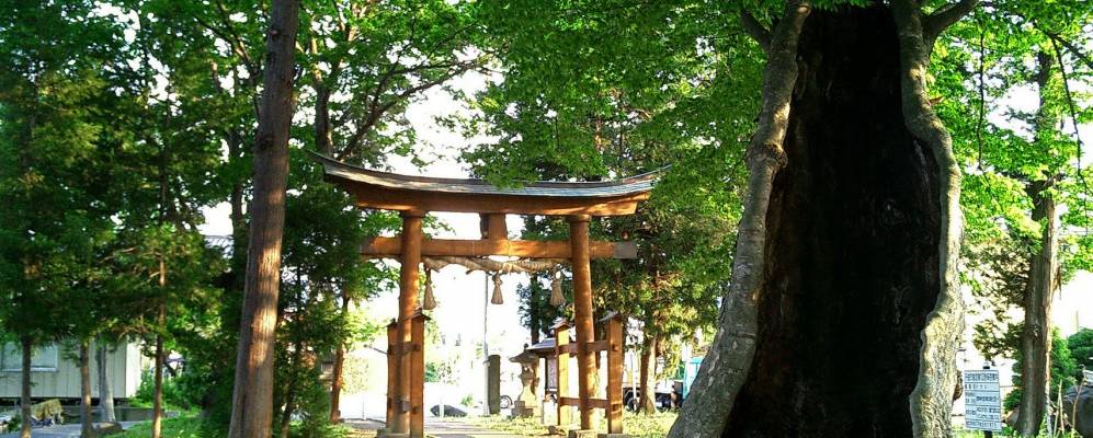 
            Фотография Тикумы