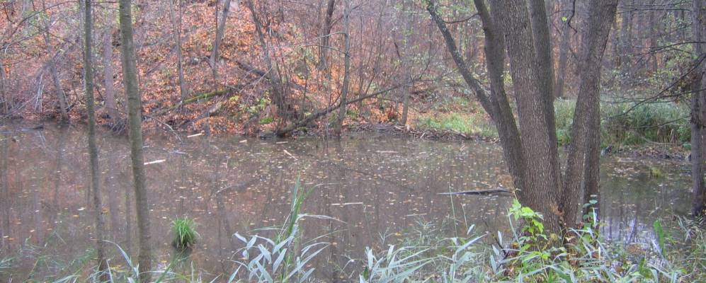 
            Фотография Калининского