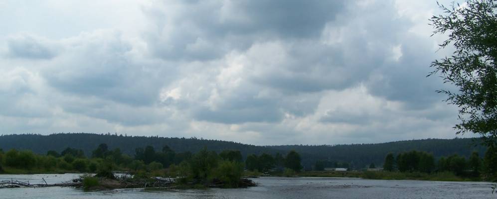 
            Фотография Тунгусов