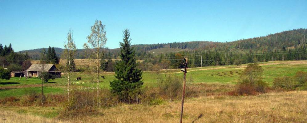 
            Фотография Дусина