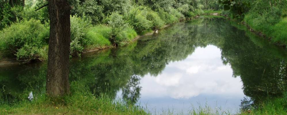 
            Фотография Карчита