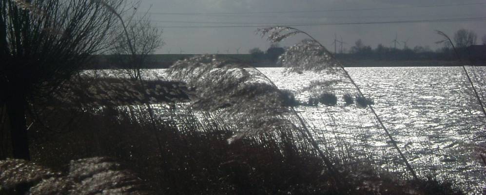 
            Фотография Лера