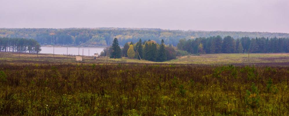 Фотография Чингансолы
