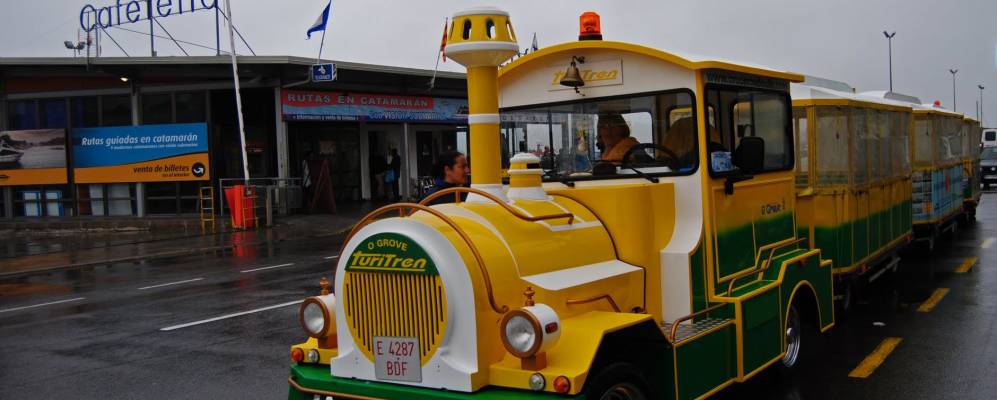 
            Фотография О Грове