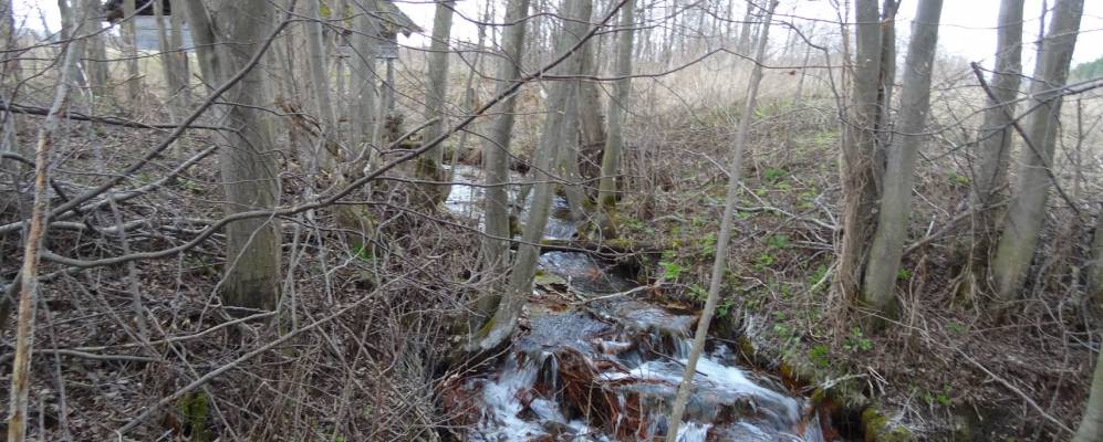 
            Фотография Верхних Рябей