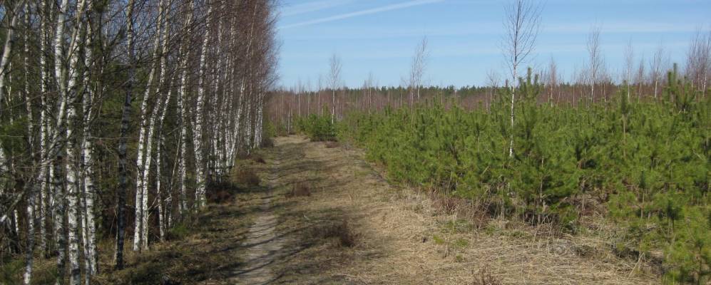 
            Фотография хутора Устрынь-Борки