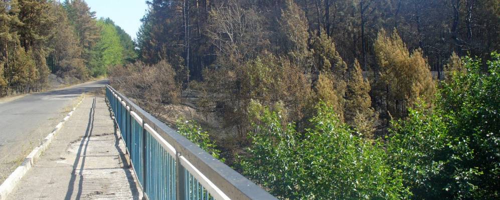 
            Фотография Пяркино