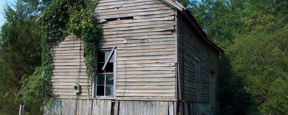 
            Фотография Реформа