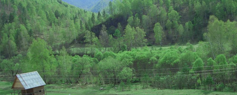 
            Фотография Карыма